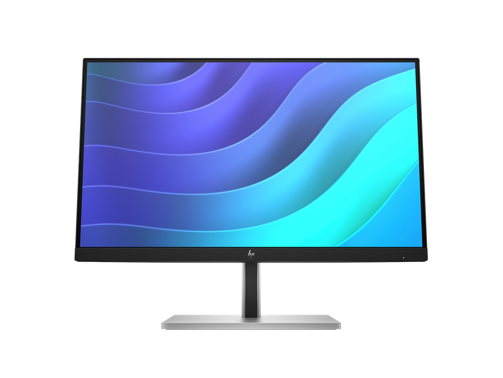 HP E22 G5 FHD Monitor