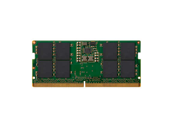 16GB DDR5 (1x16GB) 5600 SODIMM ECC Memory
