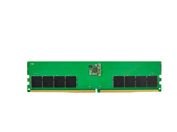 48GB DDR5 (1x48GB) 5600 UDIMM NECC Memory