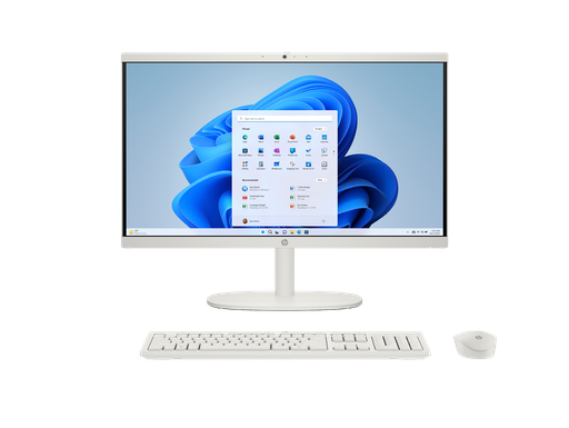 [B5RX9AA] HP All-in-One Desktop 22-dg0923w